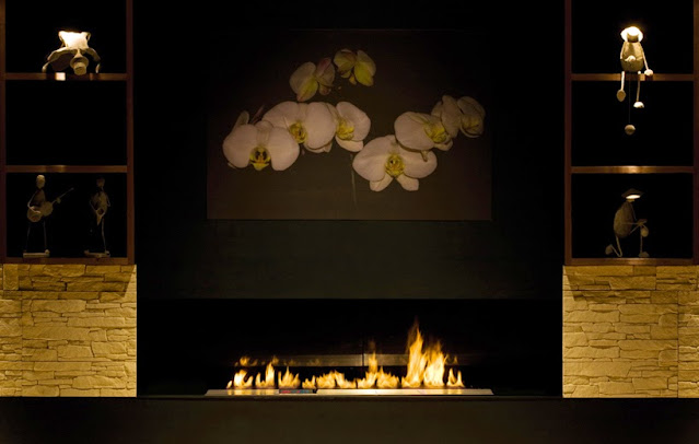 Wie wird Biobrennstoff hergestellt? – Tipps zu beachten beim Kauf eines Qualitätsprodukts